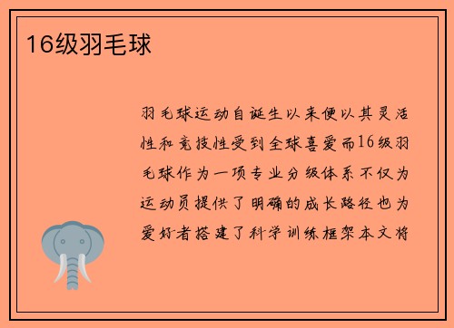 16级羽毛球