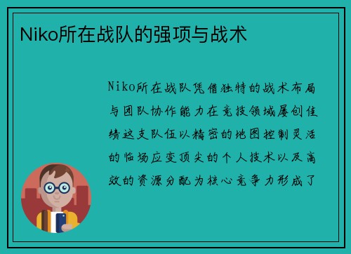 Niko所在战队的强项与战术