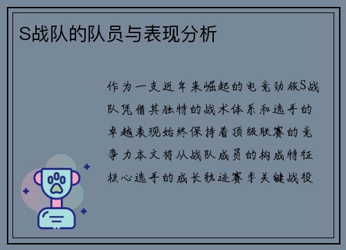S战队的队员与表现分析